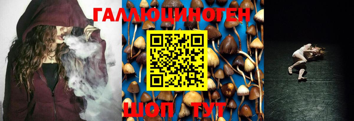 Псилоцибиновые грибы Magic Shrooms  Вход с VPN  Новосибирск 